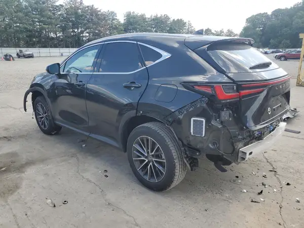 JTJGKCEZ1R5018263 2024 LEXUS NX - Image 2