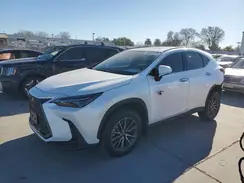JTJGKCEZ1R5019347 2024 LEXUS NX