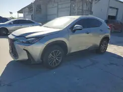 JTJGKCEZ1R5020160 2024 LEXUS NX