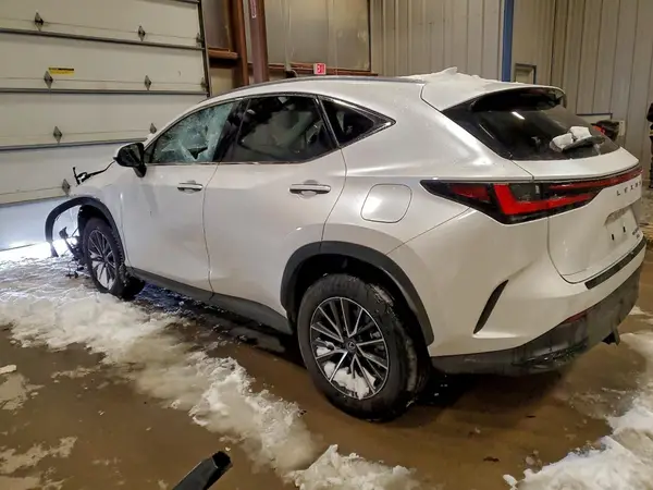 JTJGKCEZ1R5021308 2024 LEXUS NX - Image 2