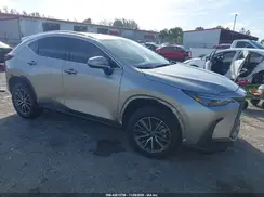 JTJGKCEZ1R5022734 2024 LEXUS NX