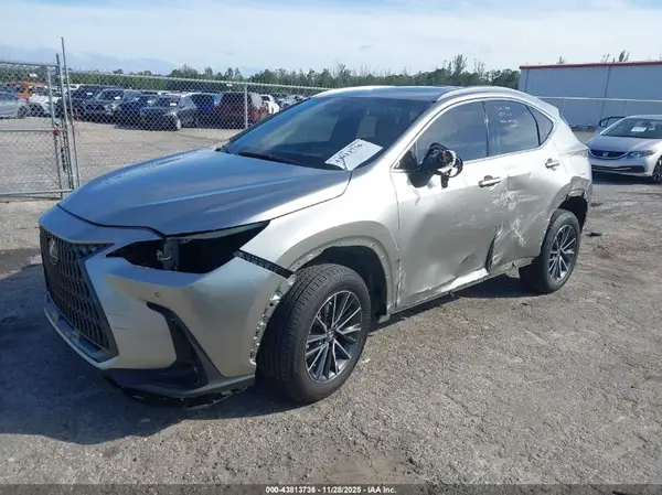 JTJGKCEZ1R5022734 2024 LEXUS NX - Image 2