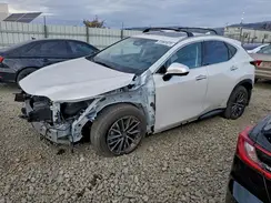 JTJGKCEZ1S2042084 2025 LEXUS NX