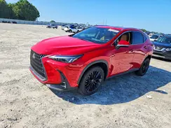 JTJGKCEZ1S2067597 2025 LEXUS NX