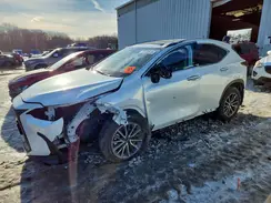 JTJGKCEZ1S5031777 2025 LEXUS NX