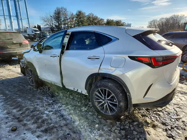 JTJGKCEZ1S5031777 2025 LEXUS NX - Image 2