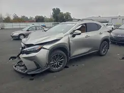 JTJGKCEZ1S5032394 2025 LEXUS NX