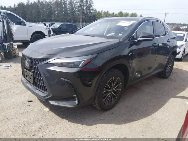 JTJGKCEZ1S5034937 2025 LEXUS NX - Image 2