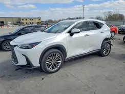 JTJGKCEZ2P5007589 2023 LEXUS NX