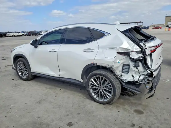 JTJGKCEZ2P5007589 2023 LEXUS NX - Image 2