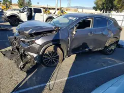 JTJGKCEZ2R2024641 2024 LEXUS NX