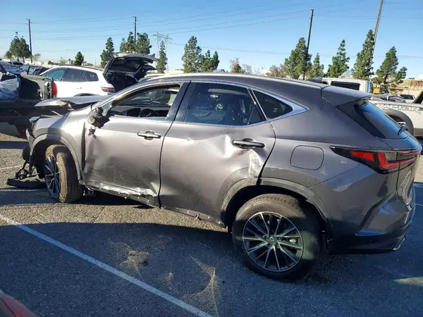 JTJGKCEZ2R2024641 2024 LEXUS NX - Image 2