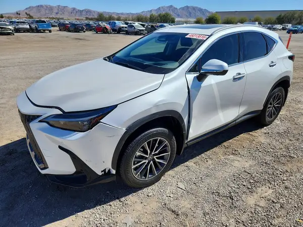 JTJGKCEZ2R2030228 2024 LEXUS NX - Image 1
