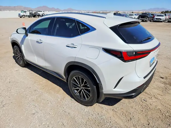 JTJGKCEZ2R2030228 2024 LEXUS NX - Image 2