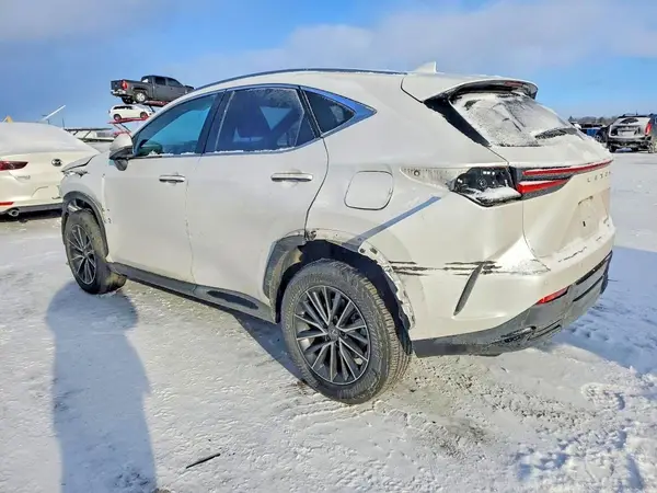 JTJGKCEZ2R5021267 2024 LEXUS NX - Image 2