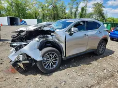 JTJGKCEZ2R5022404 2024 LEXUS NX
