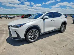 JTJGKCEZ3N5000504 2022 LEXUS NX