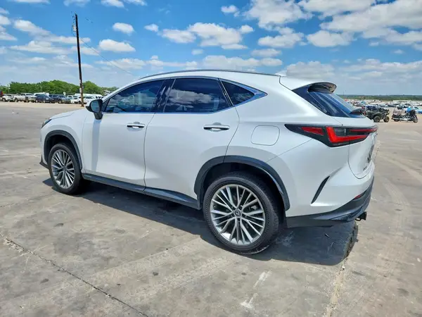 JTJGKCEZ3N5000504 2022 LEXUS NX - Image 2