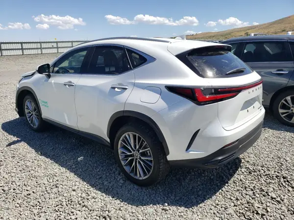JTJGKCEZ3N5002088 2022 LEXUS NX - Image 2