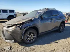 JTJGKCEZ3R2022803 2024 LEXUS NX