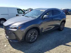 JTJGKCEZ3R2022848 2024 LEXUS NX