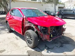 JTJGKCEZ3R2034773 2024 LEXUS NX