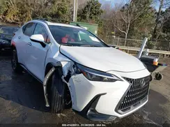 JTJGKCEZ3R5010214 2024 LEXUS NX