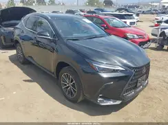 JTJGKCEZ3R5014182 2024 LEXUS NX