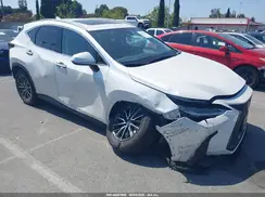 JTJGKCEZ3R5016529 2024 LEXUS NX