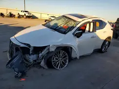 JTJGKCEZ3S2049909 2025 LEXUS NX