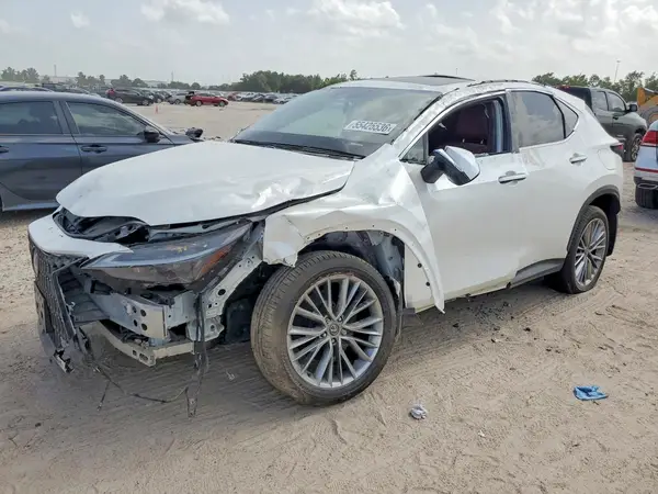 JTJGKCEZ3S2049909 2025 LEXUS NX - Image 1