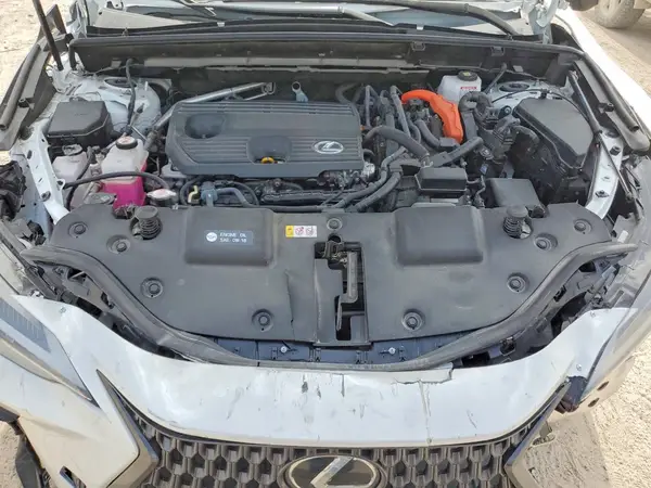 JTJGKCEZ3S20499XX 2025 LEXUS NX - Image 5