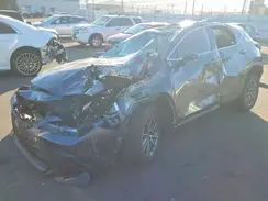 JTJGKCEZ3S5033594 2025 LEXUS NX