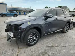 JTJGKCEZ4P5006461 2023 LEXUS NX