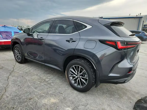 JTJGKCEZ4P5006461 2023 LEXUS NX - Image 2