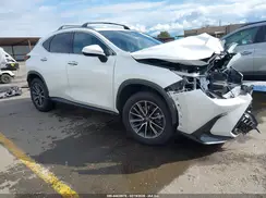 JTJGKCEZ4R2028934 2024 LEXUS NX
