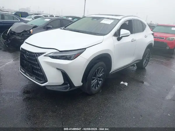 JTJGKCEZ4R5013106 2024 LEXUS NX - Image 2