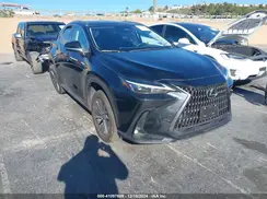 JTJGKCEZ4R5014899 2024 LEXUS NX
