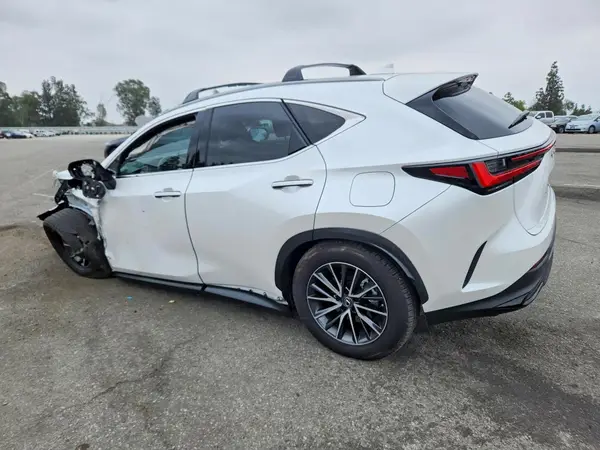 JTJGKCEZ4R5017267 2024 LEXUS NX - Image 2