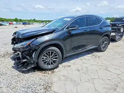 JTJGKCEZ4R5020217 2024 LEXUS NX