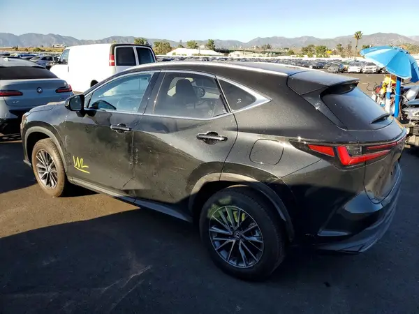 JTJGKCEZ4R5021268 2024 LEXUS NX - Image 2