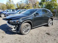 JTJGKCEZ4S5036293 2025 LEXUS NX
