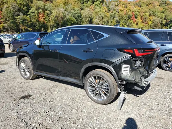 JTJGKCEZ4S5036293 2025 LEXUS NX - Image 2