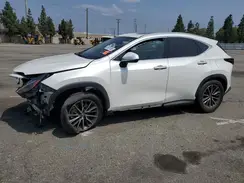 JTJGKCEZ5R2019644 2024 LEXUS NX
