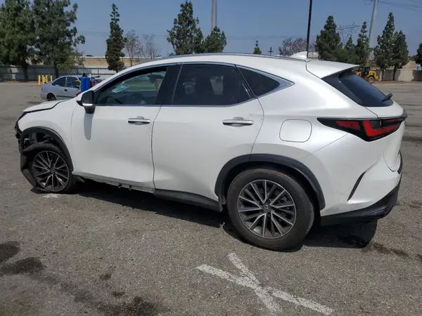 JTJGKCEZ5R2019644 2024 LEXUS NX - Image 2