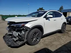 JTJGKCEZ5R2023824 2024 LEXUS NX