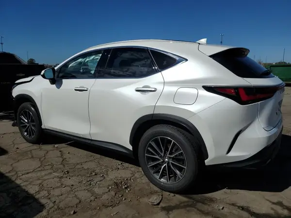 JTJGKCEZ5R2023824 2024 LEXUS NX - Image 2