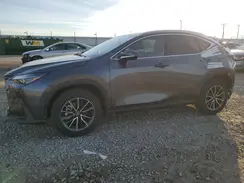 JTJGKCEZ5R2024939 2024 LEXUS NX