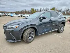 JTJGKCEZ5R5010392 2024 LEXUS NX