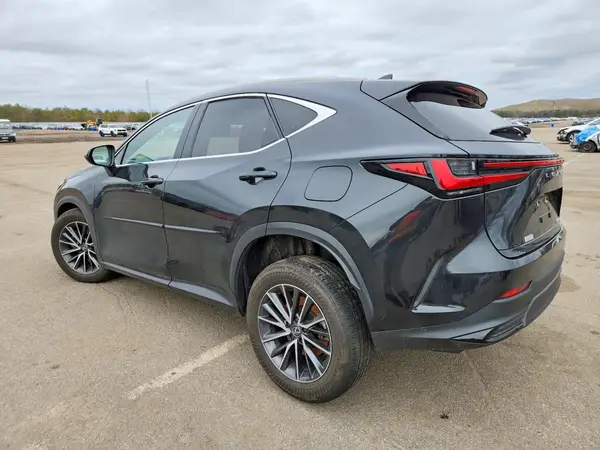 JTJGKCEZ5R5010392 2024 LEXUS NX - Image 2